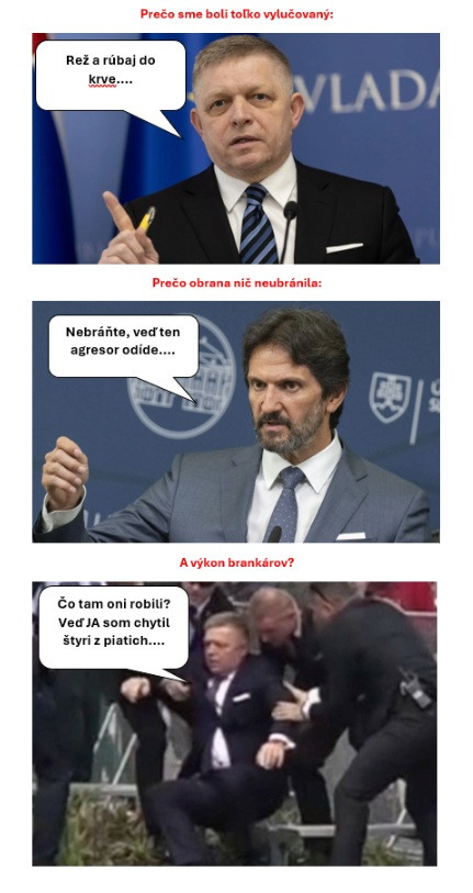 Aký politici - taký hokejisti